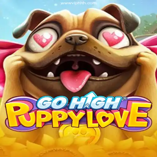 Exploring GoHighPuppyLove and VIPHHH Cassino Online: Thrills and Strategies
